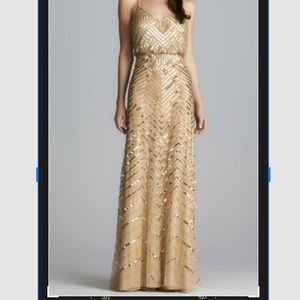 Never Been Worn Adrianna Papell Gown